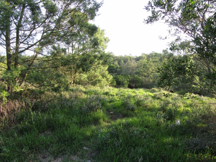 0 Bedroom Property for Sale in Kruisfontein Eastern Cape